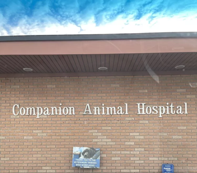 Companion Animal Hospital of North Florida, Florida, Jacksonville